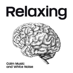 Relaxing Calm Music and White Noise During Intensive Study - White Noise Universe
