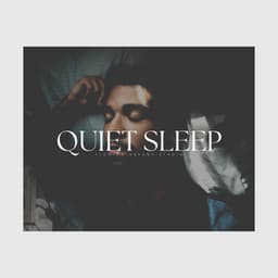Quiet Sleep - Relaxing Sleep Sessions