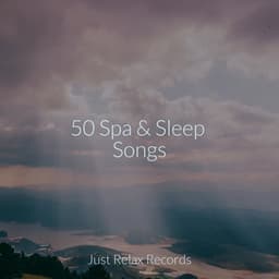 50 Spa & Sleep Songs - Natural Sounds