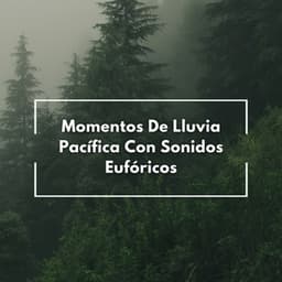 Momentos De Lluvia Pacífica Con Sonidos Eufóricos - Lluvia de Berlín