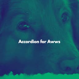 Accordion for Awws - Dog Sleeping Soundtracks Deluxe