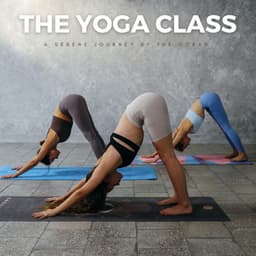 The Yoga Class: A Serene Journey By The Ocean - Hang Drum Music