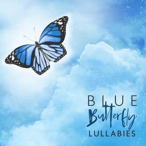 Blue Butterfly Lullabies - Newborn Baby Song Academy