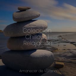 Colección Chillout | Relajación - Música Para Meditar y Relajarse