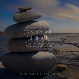 Colección Chillout | Relajación - Música Para Meditar y Relajarse