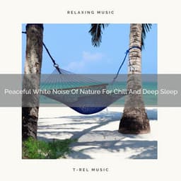 Peaceful White Noise Of Nature For Chill And Deep Sleep - Zen Sounds