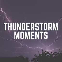 Thunderstorm Moments - Thunderstorms HD