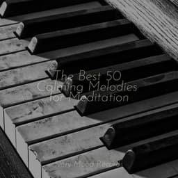 The Best 50 Calming Melodies for Meditation - Pianoramix