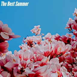 The Best Summer - Chill Vibes