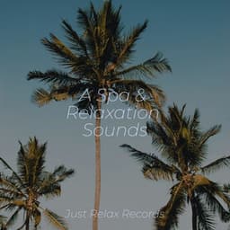 A Spa & Relaxation Sounds - Musica de Relajación Academy