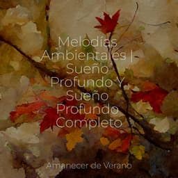 Melodías Ambientales | Sueño Profundo Y Sueño Profundo Completo - Musica Relajante
