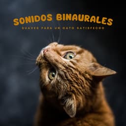 Sonidos Binaurales Suaves Para Un Gato Satisfecho - Lazers binaurales
