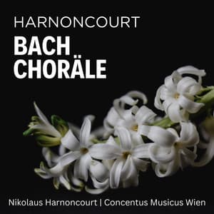 Harnoncourt: Bach Choräle - Johann Sebastian Bach