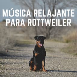 Música Relajante para Rottweiler - Mascotas tranquilas