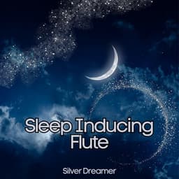 Sleep Inducing Flute: Music for Rest - Silver Dreamer