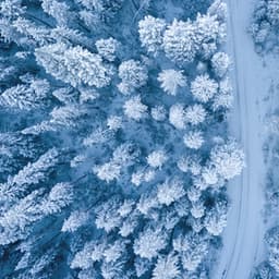 Sonido de avión para dormir para calmar - Relajación de Ruido Blanco Natural