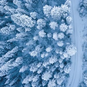 Sonido de avión para dormir para calmar - Relajación de Ruido Blanco Natural