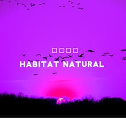 Habitat natural: Relaxamento completo com os sons da natureza - Academia Sons da Natureza