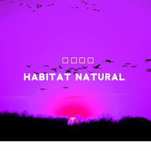 Habitat natural: Relaxamento completo com os sons da natureza - Academia Sons da Natureza