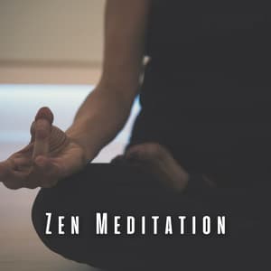 Zen Meditation: Calming Chill Music and Lofi Tunes - Lofi Quality Content