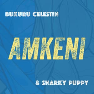 Amkeni - Snarky Puppy