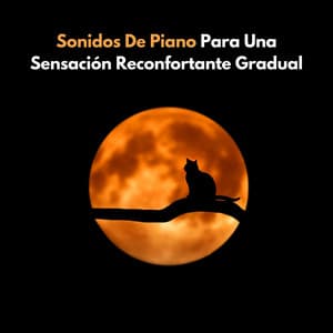 Sonidos De Piano Para Una Sensación Reconfortante Gradual - Colección Piano Jazz