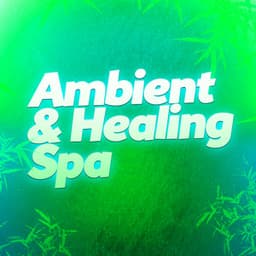Ambient & Healing Spa - Spa Zen