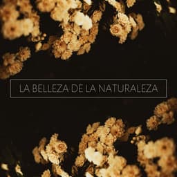 La Belleza De La Naturaleza: Música De Ambiente Para Masajes Y Terapias Naturales, Spa Y Centros De Belleza - Elena Ambiental