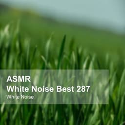 White Noise ASMR Best 287 - White Noise