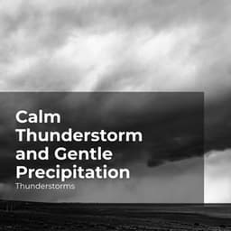 Calm Thunderstorm and Gentle Precipitation - Thunderstorms
