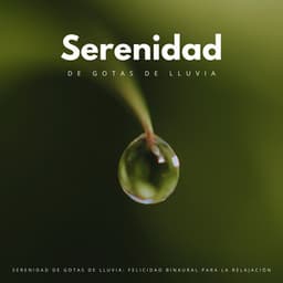 Serenidad De Gotas De Lluvia: Felicidad Binaural Para La Relajación - The Unexplainable Store