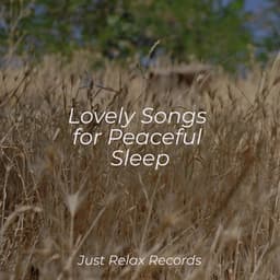 Lovely Songs for Peaceful Sleep - Deep Sleep Relaxation