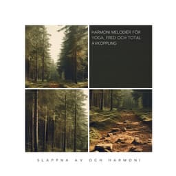 Harmoni Melodier för Yoga, Fred och Total Avkoppling - Slappna av och Harmoni