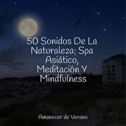 50 Sonidos De La Naturaleza: Spa Asiático, Meditación Y Mindfulness - CANCIONES DE CUNA
