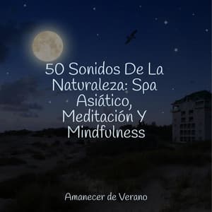 50 Sonidos De La Naturaleza: Spa Asiático, Meditación Y Mindfulness - CANCIONES DE CUNA