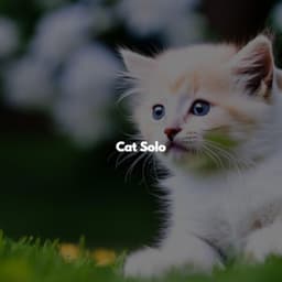 Cat Solo - Vintage Cafe Vintage