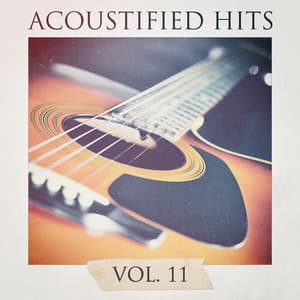Acoustified Hits, Vol. 11 - 60's 70's 80's 90's Hits