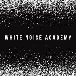 White Noise Academy - White Noise Collection