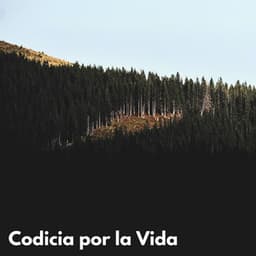 Codicia Por La Vida - VIDA ASMR
