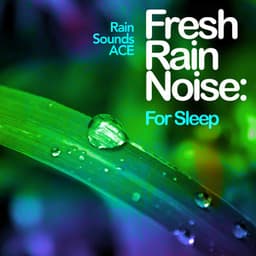 Fresh Rain Noise: For Sleep - Rain Sounds ACE