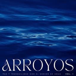 Arroyos: Paz Y Tranquilidad Con El Sonido De Agua Vol. 1 - Ruido de agua