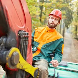 Forest Work Wonder: A Productive Singing Bowl Soundscape - Music for Work