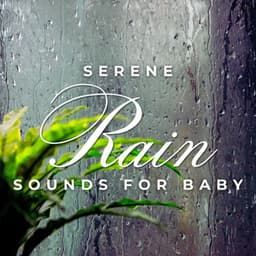 Rainy Dreams: Serene Rain Sounds for Baby - Calm Storm