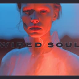 Wired Soul - Evening Chill Out Music Academy