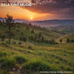 Relaxing Music for Bedtime, Relaxing, Reading, Newborns 2 - Lernmusik