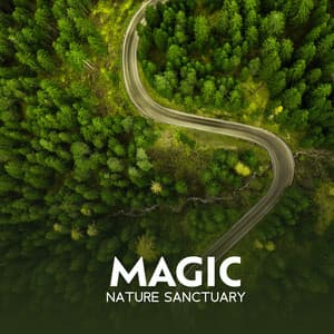 Magical Nature Sanctuary - Relaxing Zen Music Therapy