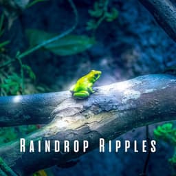 Raindrop Ripples: Sleep to the Sounds of Heavy Rain and Frogs - HD Rain and Water