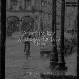 50 Soothing Rain Soundscapes for Deep Sleep - Nature Sound Series