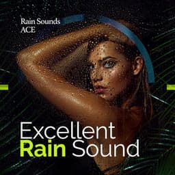 Excellent Rain Sound - Rain Sounds ACE