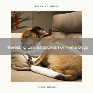 Interesting Leaves Sounds For Home Dogs - Pets Total Relax
